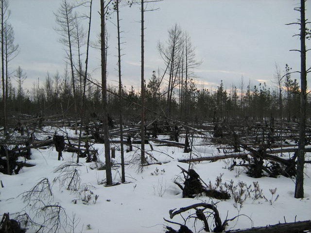 ������� �������