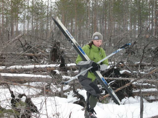 ��������� �������