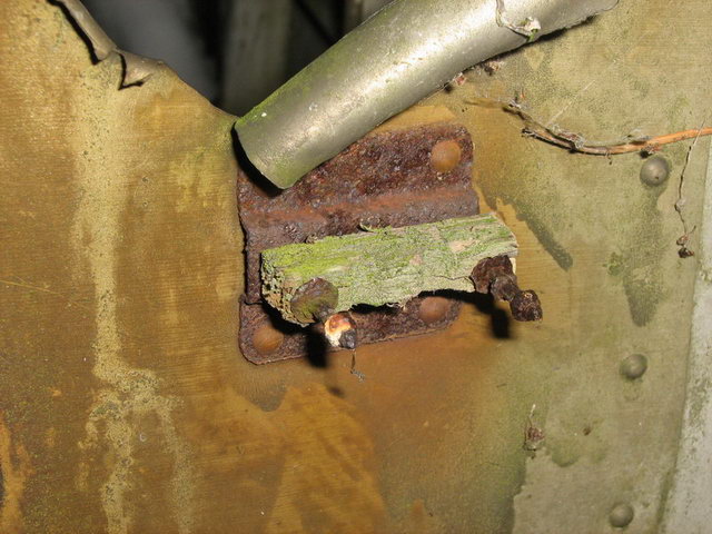 ���������� ���������