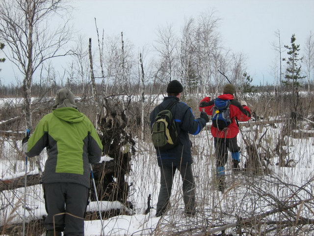 ���������� �� ������ �� ���