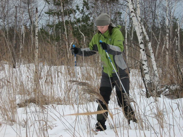 ��������� ����� ����� ������