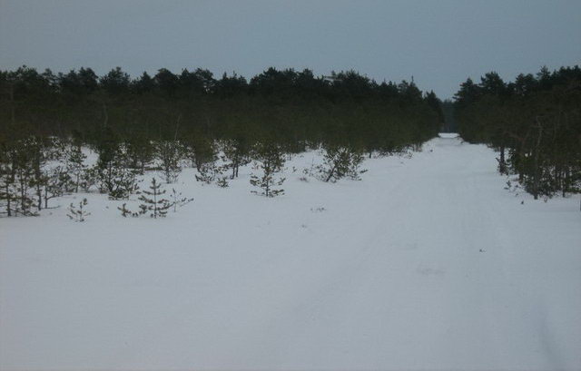 ������ �� ����� ������