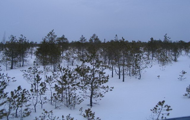 ������ � ������������ �������