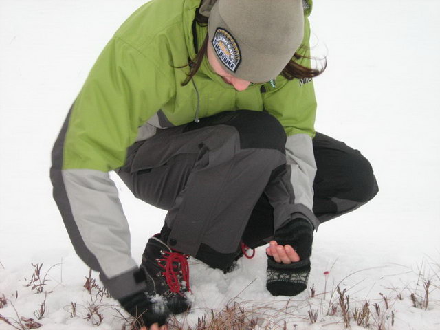 ������������� - ���������� ������� ��������