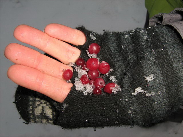 ������ ��-��� �����