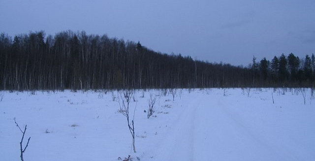 ������ ���������